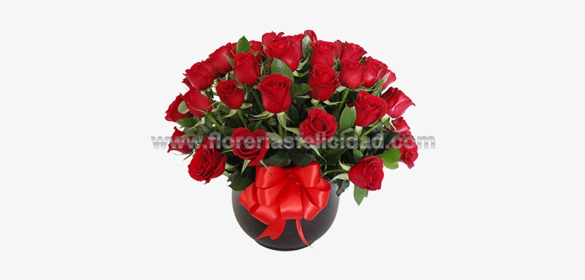 Base Con 50 Rosas Rojas - Bouquet, transparent png download