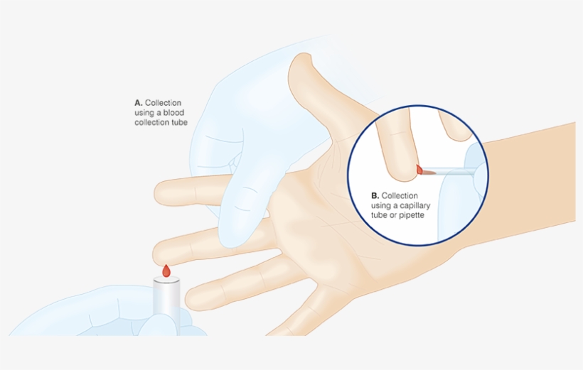 Collecting Cap Blood Sample - Vacutainer, transparent png download