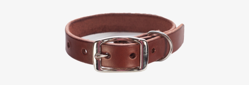 Dog Collar Png, transparent png download