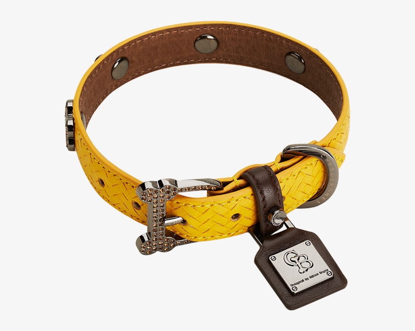 Dog Collar Png High-quality Image - Chrome Bones Mocha Ltd Pet Collar, Medium, Yellow/brown, transparent png download