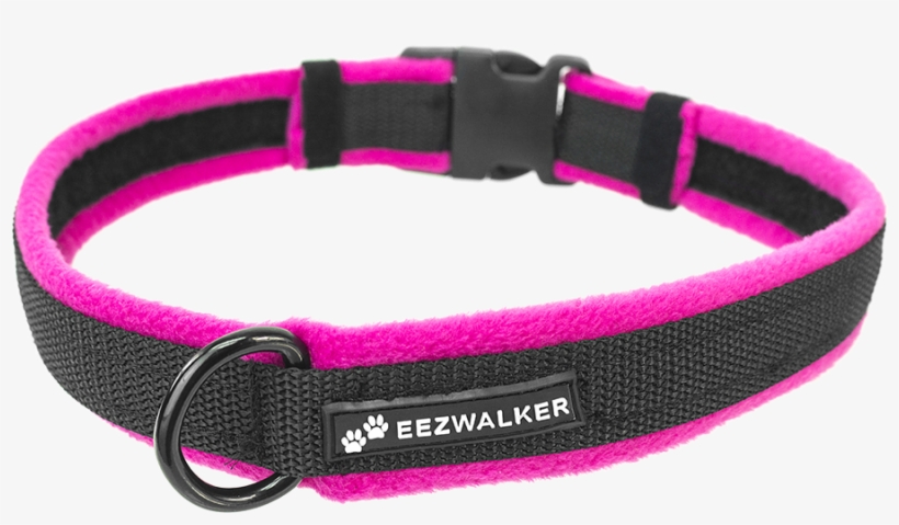 Dog Collar Transparent Image - Dog Collar Png, transparent png download
