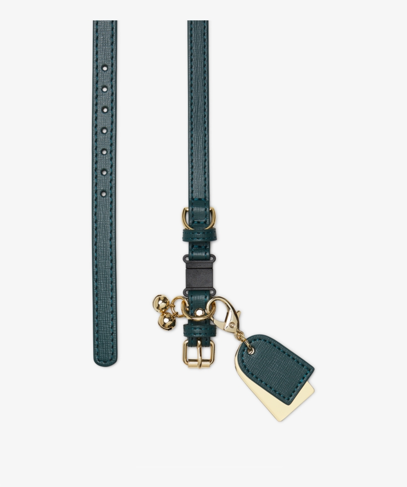 Green - Grey Green - Grey - Green Grey, transparent png download