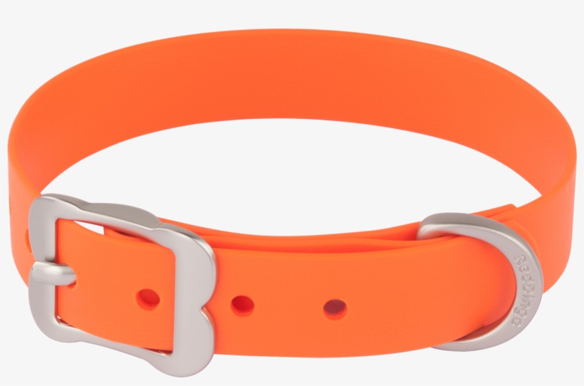Red Dingo Dog Collar Vivid Pvc Orange Dc Vi Or Clip - Red Dingo Vivid Pvc Dog Collar, Medium, Orange, transparent png download