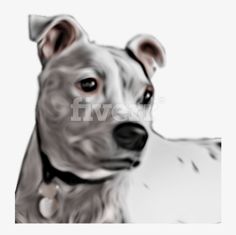 Great Dane, transparent png download