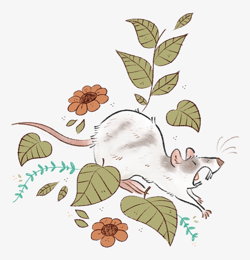 Rattie Pattern For Pets Page Moo, transparent png download