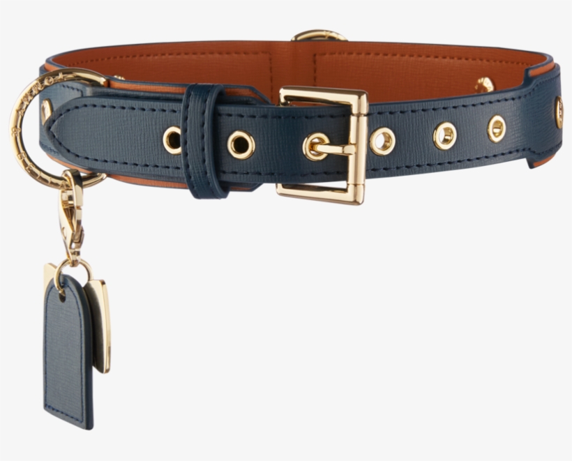 Brown Dog Collar - Dog Collar, transparent png download