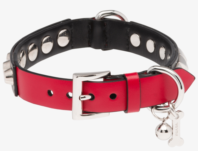 Dog Collar, transparent png download