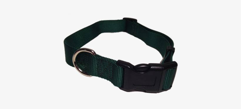 Belt, transparent png download