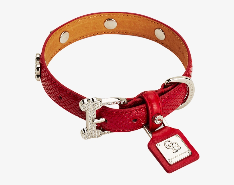 high end dog collars