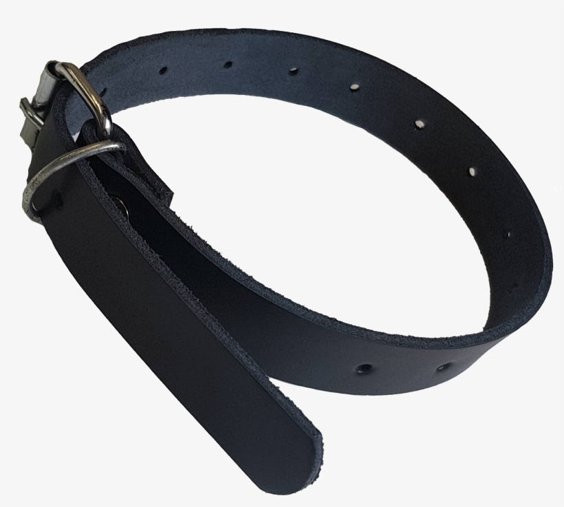Dog Collars - Belt, transparent png download