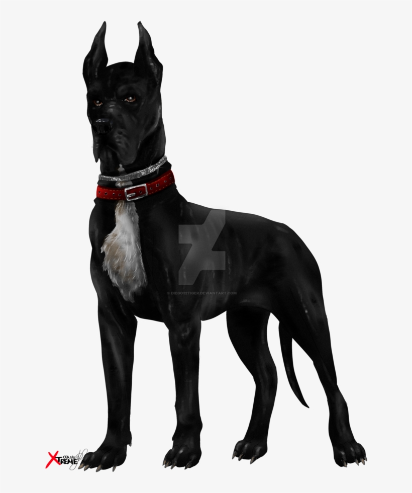 Black Dog By Diego - Transparent Great Dane Png, transparent png download