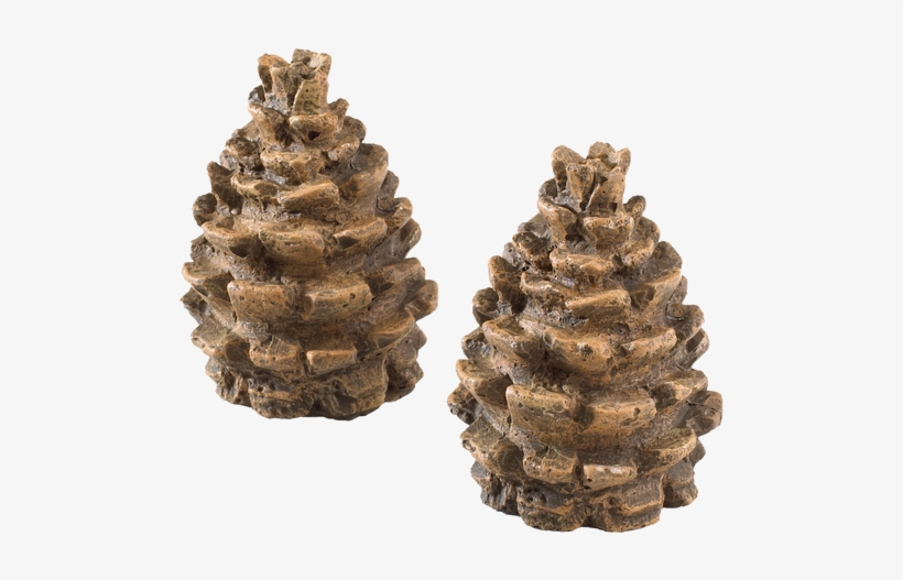 Decorative Pine Cones - Procom Decorative Pine (green) Cones - Model#pincn1, transparent png download
