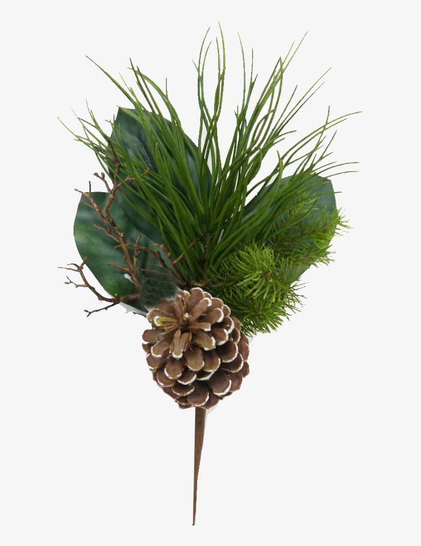 Mixed Evergreen Pick With Pinecones - Grass, transparent png download