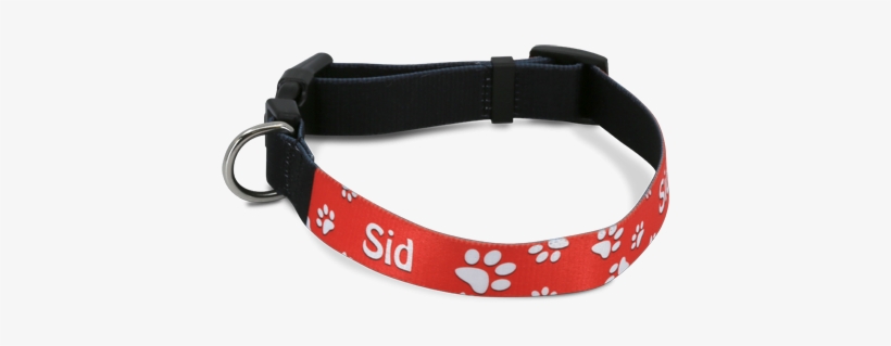 Dog Collar, transparent png download