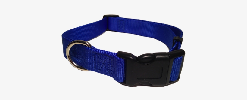 Belt, transparent png download