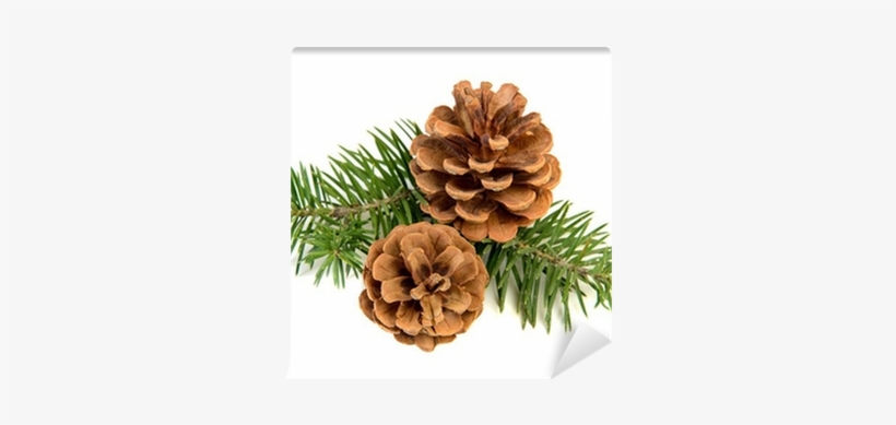 La Nature En Famille, Hiver - Livre, transparent png download