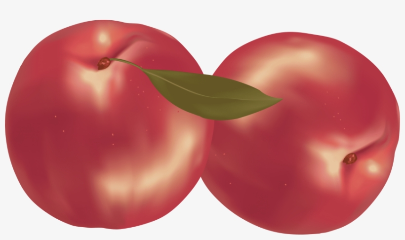 Free Png Peaches Png Images Transparent - Peach, transparent png download