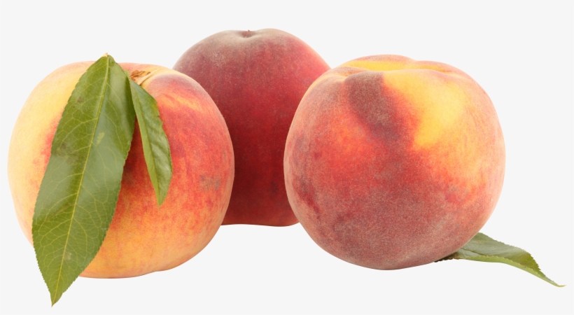 Fruit, transparent png download