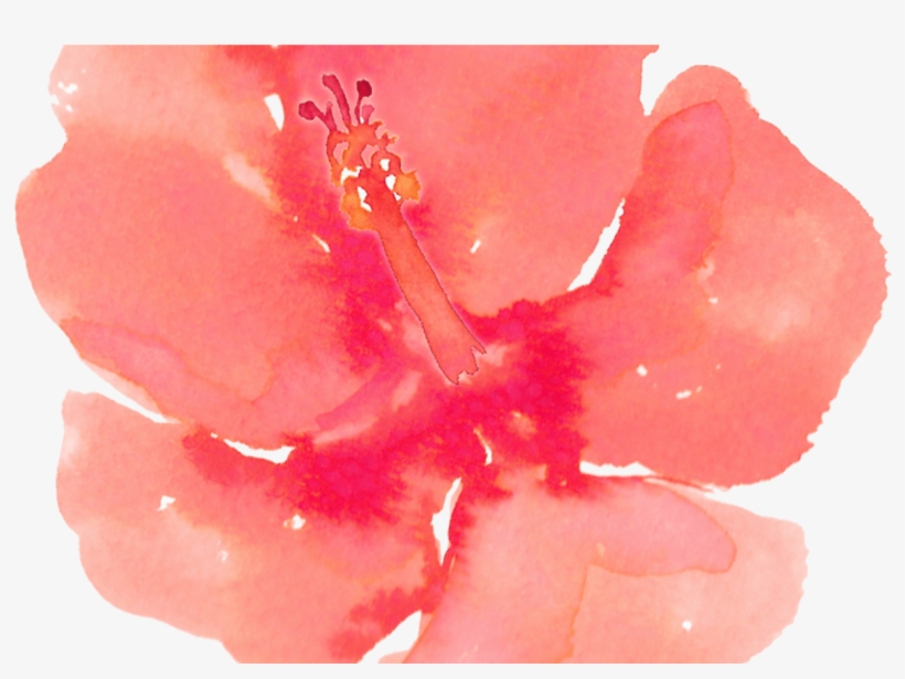 19 Peaches Banner Free Download Watercolor Huge Freebie - Hibiscus Watercolor Clipart, transparent png download