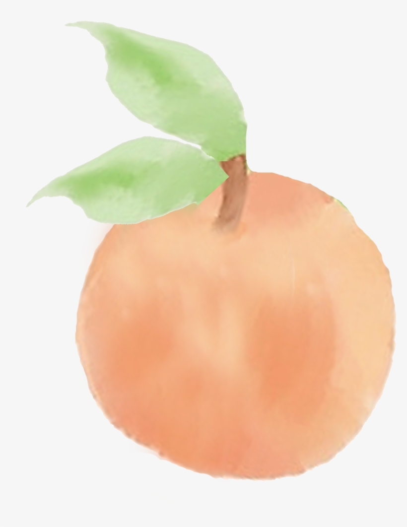 Pls - Peach Png, transparent png download