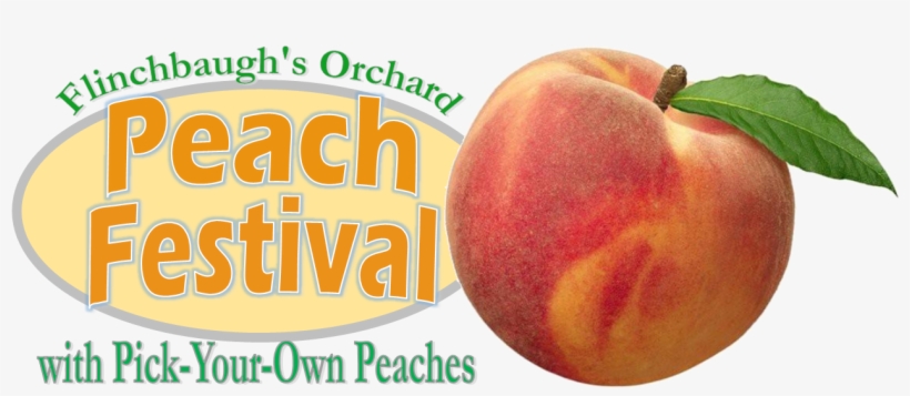 Event Navigation - « - Nectarines, transparent png download