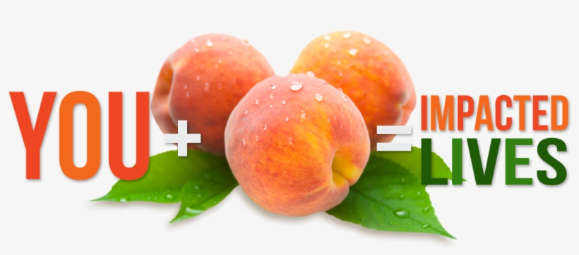 Our Annual Summer Peach Sale - Peachbottompanties Custom Listing For James, transparent png download