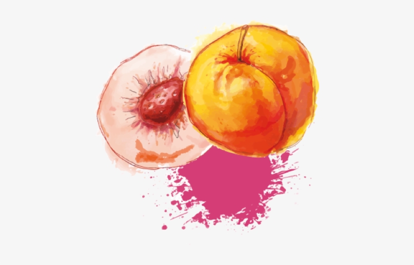 Twitter - Murder On The Opinion Page, transparent png download