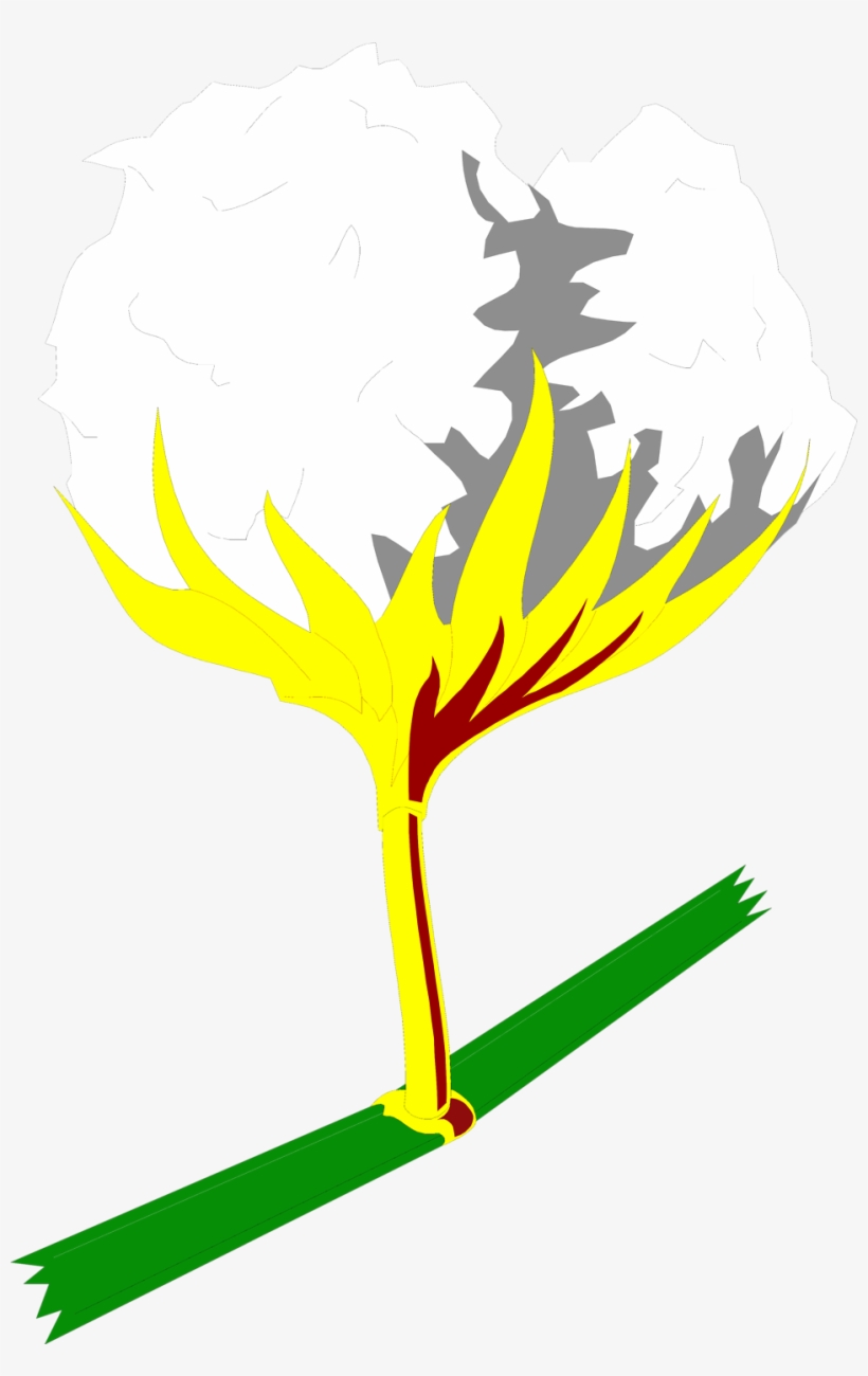 Cotton Clipart Transparent - Cotton Clipart No Background, transparent png download