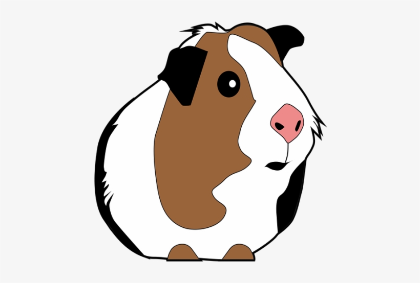 Guinea Pig Clipart Orange - Guinea Pig Vector Png, transparent png download