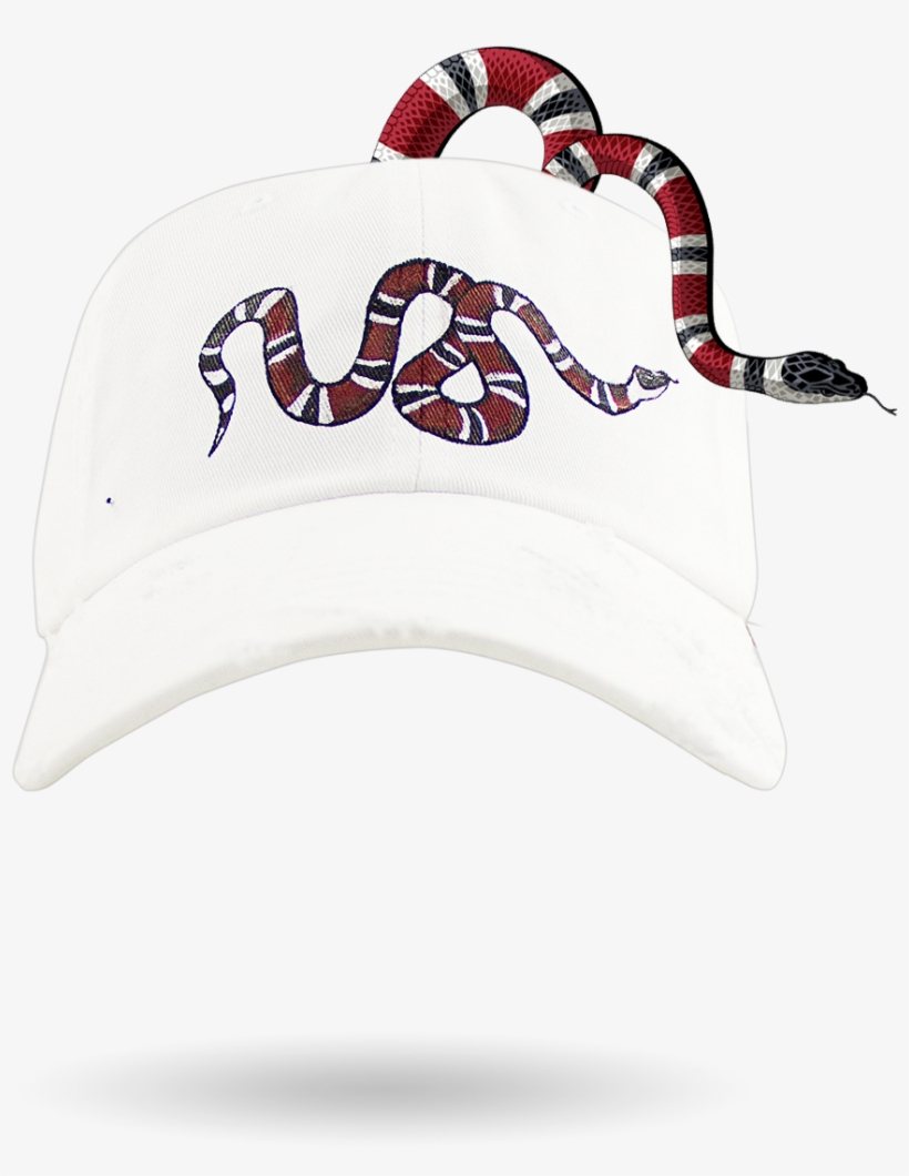 The Snake - Snakes, transparent png download
