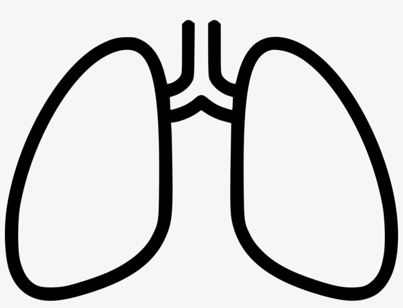 Lungs Breathing Chest X Ray Anatomy Tuberculosis Comments - Lungs Black And White, transparent png download