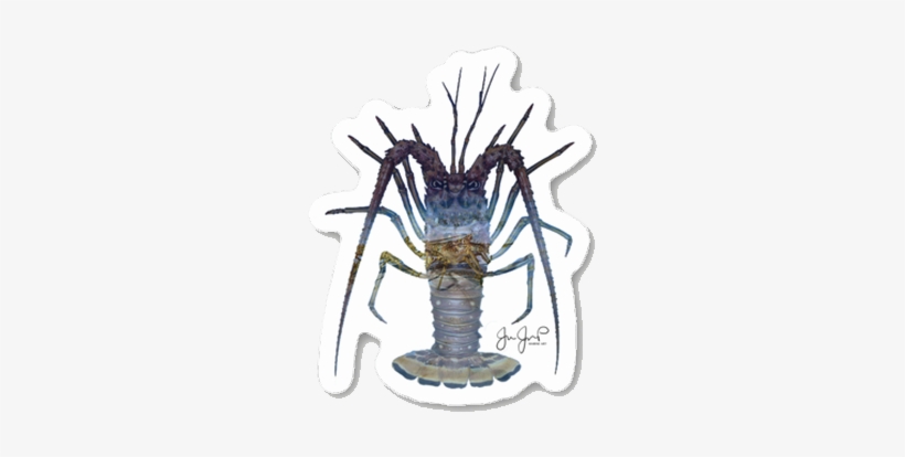 Lobster March Sticker - Lobster March Performance Long Sleeve, transparent png download