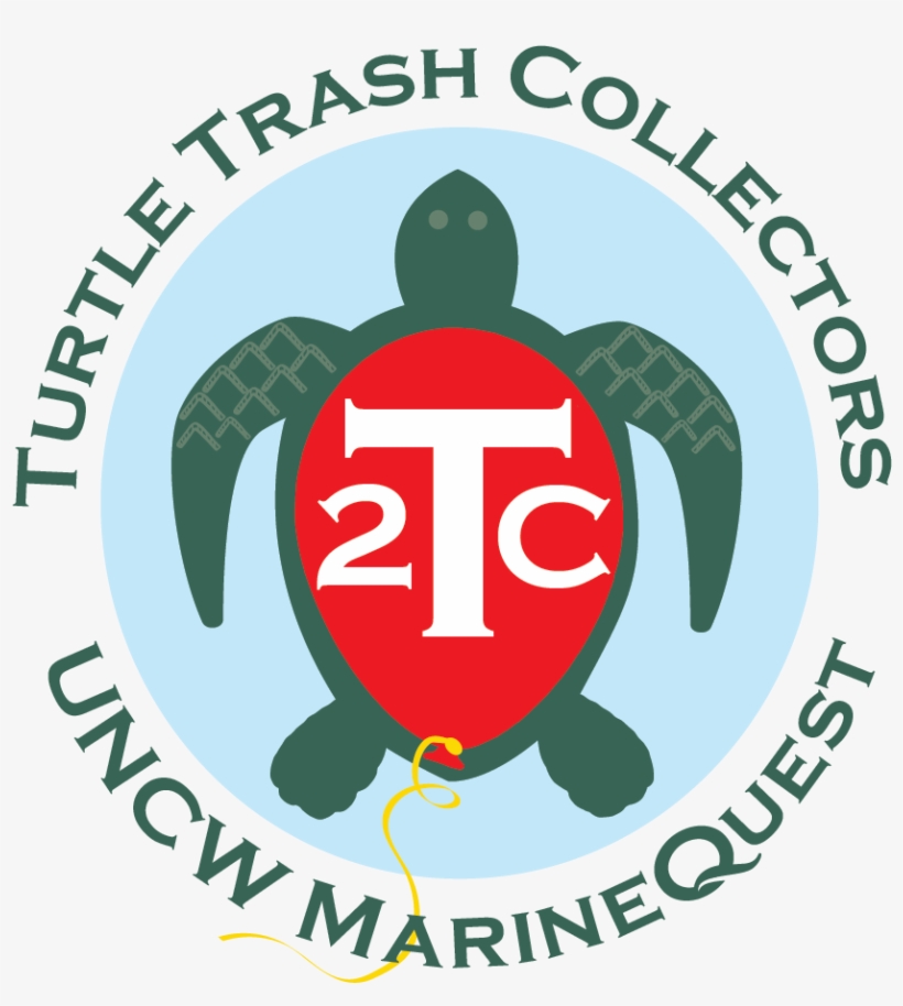 Marinequest Receives Noaa Grant For New Turtle Trash - Watson College Of Education, transparent png download