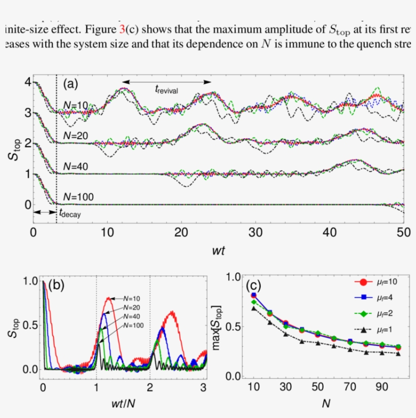 Time Evolution Of String Order Parameter Stop For Topological - Superconducting Wire, transparent png download