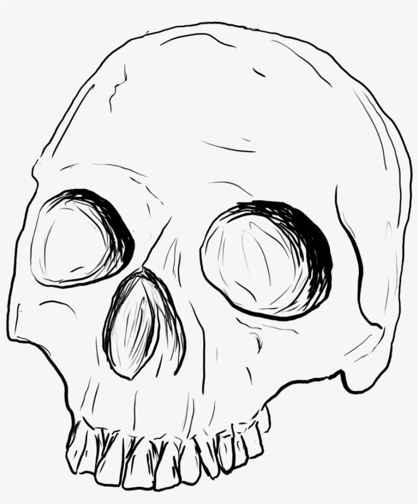 Showoff - Skull Sketch Png, transparent png download