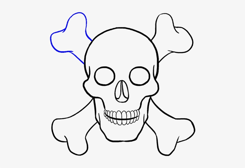 Broken Bone At Getdrawings Com Free For - Drawing, transparent png download