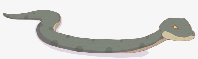 Hand Drawn Snake Animal Creature Png And Psd - Duck, transparent png download