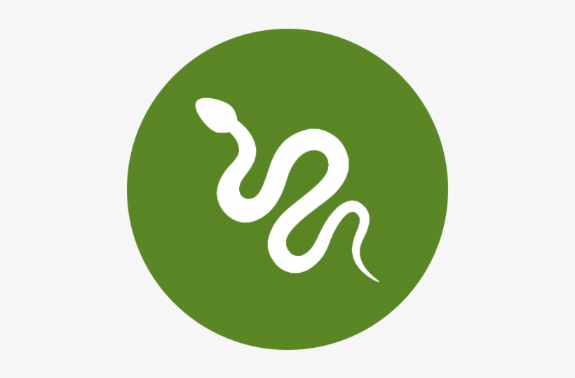 Snake - Graphic Design, transparent png download