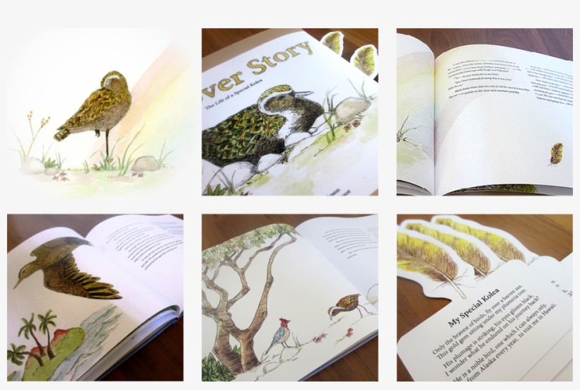 The Bird's Patterns Were Captured In A More Realistic - Calidrid, transparent png download