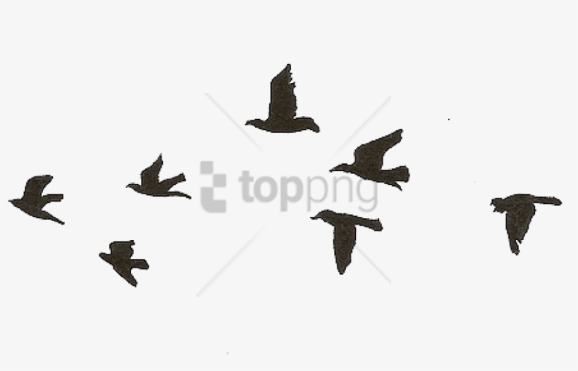 Free Png Flying Birds Gif Transparent Png Image With - Tattoo Birds, transparent png download