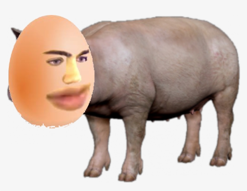 I Spent Hours Making This Mizkifpig Emote Let Me Know - Domestic Pig, transparent png download