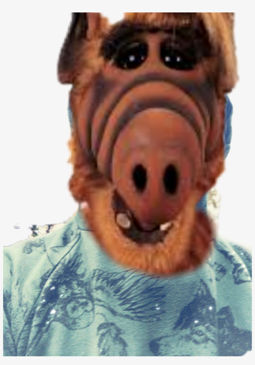 #gabriel=alf😱😱😱😱😱# - Alf Who Eats Cats, transparent png download