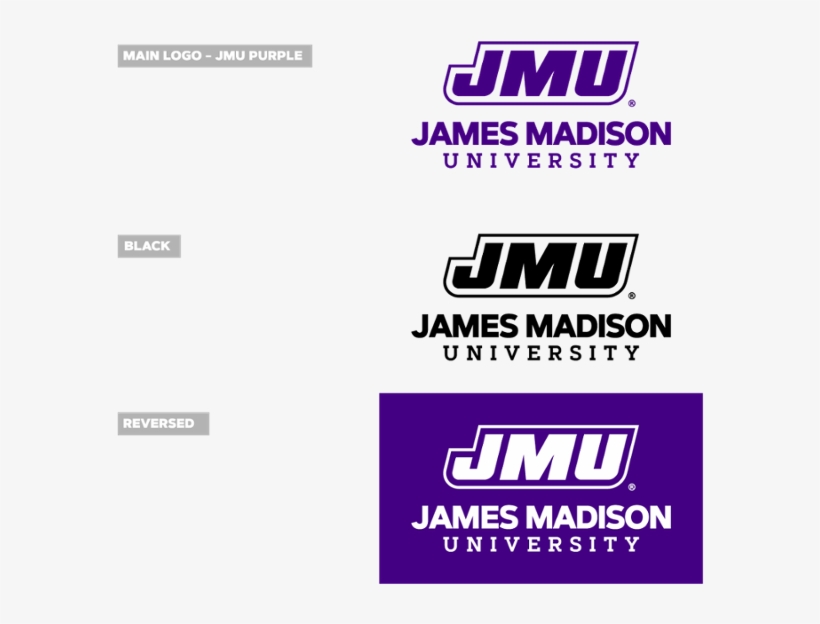 Logo Color Variations - Graphic Design, transparent png download