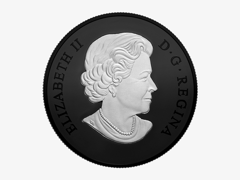 Nocturnal By Nature - Coin, transparent png download