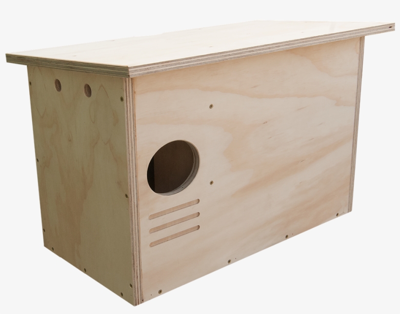 Owl Security Has To Be Considered When Deciding To - Storage Chest, transparent png download