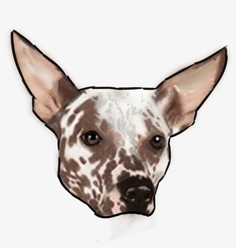 Bernard - Cute Hair Peruvian Inca Orchid, transparent png download