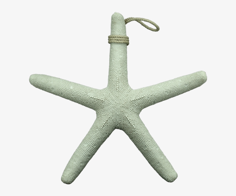 Marine White Wooden Sea Star 39cm By Stories - Pendant, transparent png download