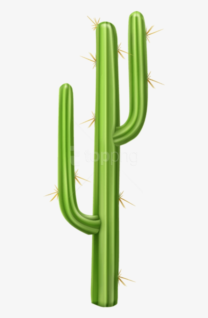 Download Cactus Png Images Background - Cactus Transparent Background Clipart, transparent png download