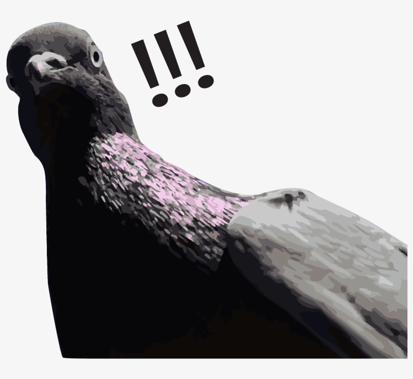 #shitaintright - It's Christinith - Rock Dove, transparent png download