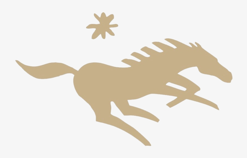 Namibia Horse Safari Company Logo, transparent png download